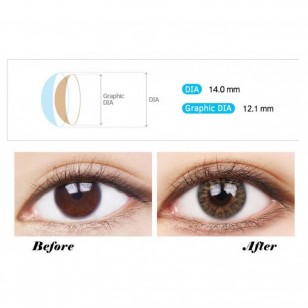 True Fit Brown(年拋) True Fit Brown(年拋)